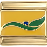Insignă braziliană