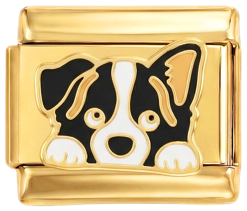 Imagine de diapozitiv