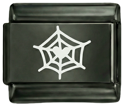 Spiderweb White on Black Charm - Spiderweb-White-on-Black-Charm.png