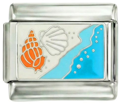 Shells at the Beach on White Sand - shells-at-the-beach-on-white-sand.png