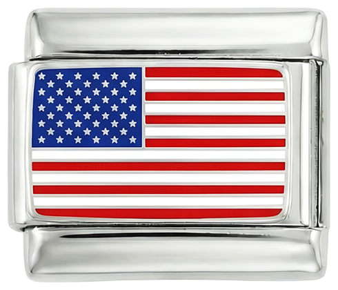United States Flag, on Silver - united-states-on-silver.png